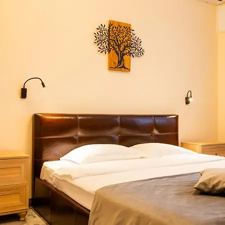 Guest house Pensiunea Floarea Soarelui 3*
