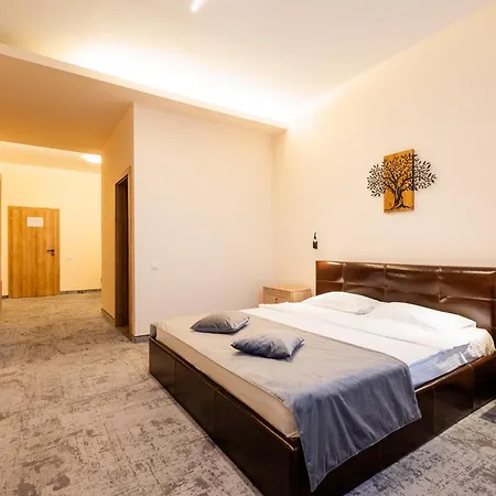 Πανσιόν Pensiunea Floarea Soarelui 3*