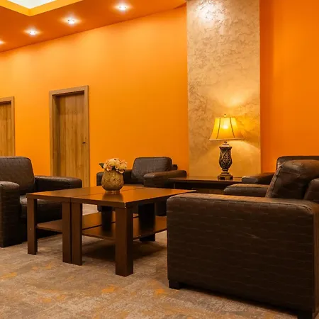 Pensiunea Floarea Soarelui Guest house