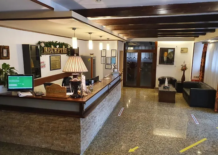 Casa de hóspedes Pensiunea Floarea Soarelui