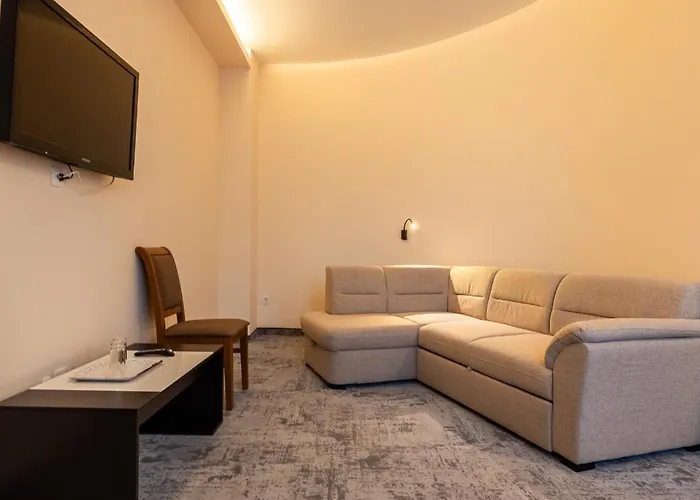 Pensiunea Floarea Soarelui Guest house