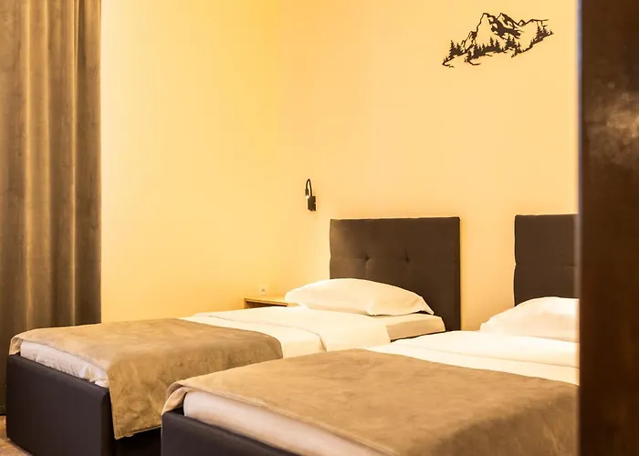 Guest house Pensiunea Floarea Soarelui Brasov