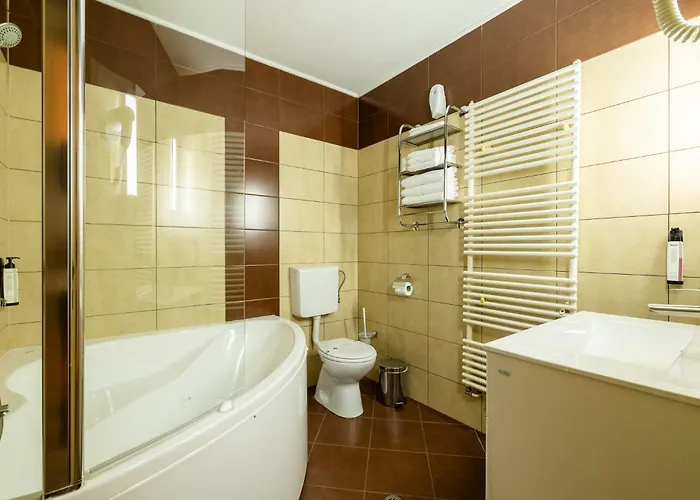 Pensiunea Floarea Soarelui Guest house
