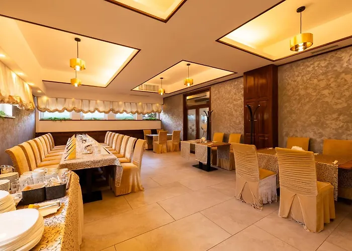 Guest house Pensiunea Floarea Soarelui Brasov