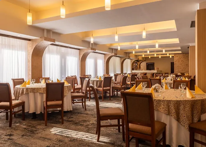 Pensiunea Floarea Soarelui Guest house